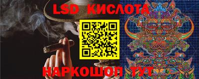 дмт Будённовск