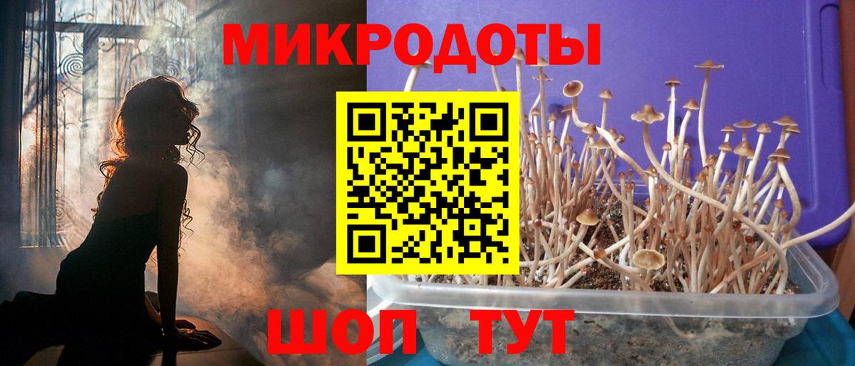 Псилоцибиновые грибы мицелий  Вход с VPN  Арзамас  Галлюциногенные грибы GOLDEN TEACHER 